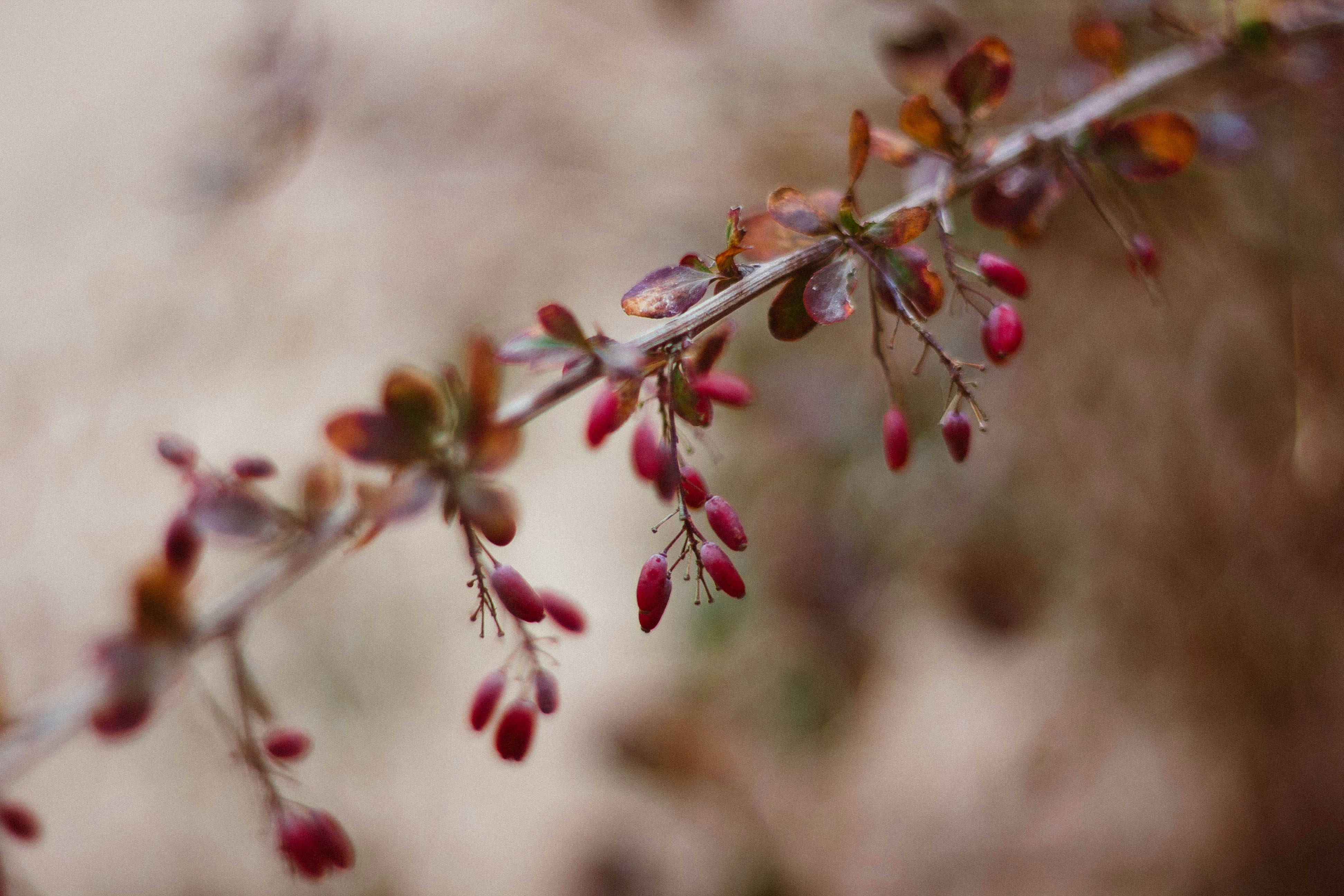 Photo by oks_strange_artist