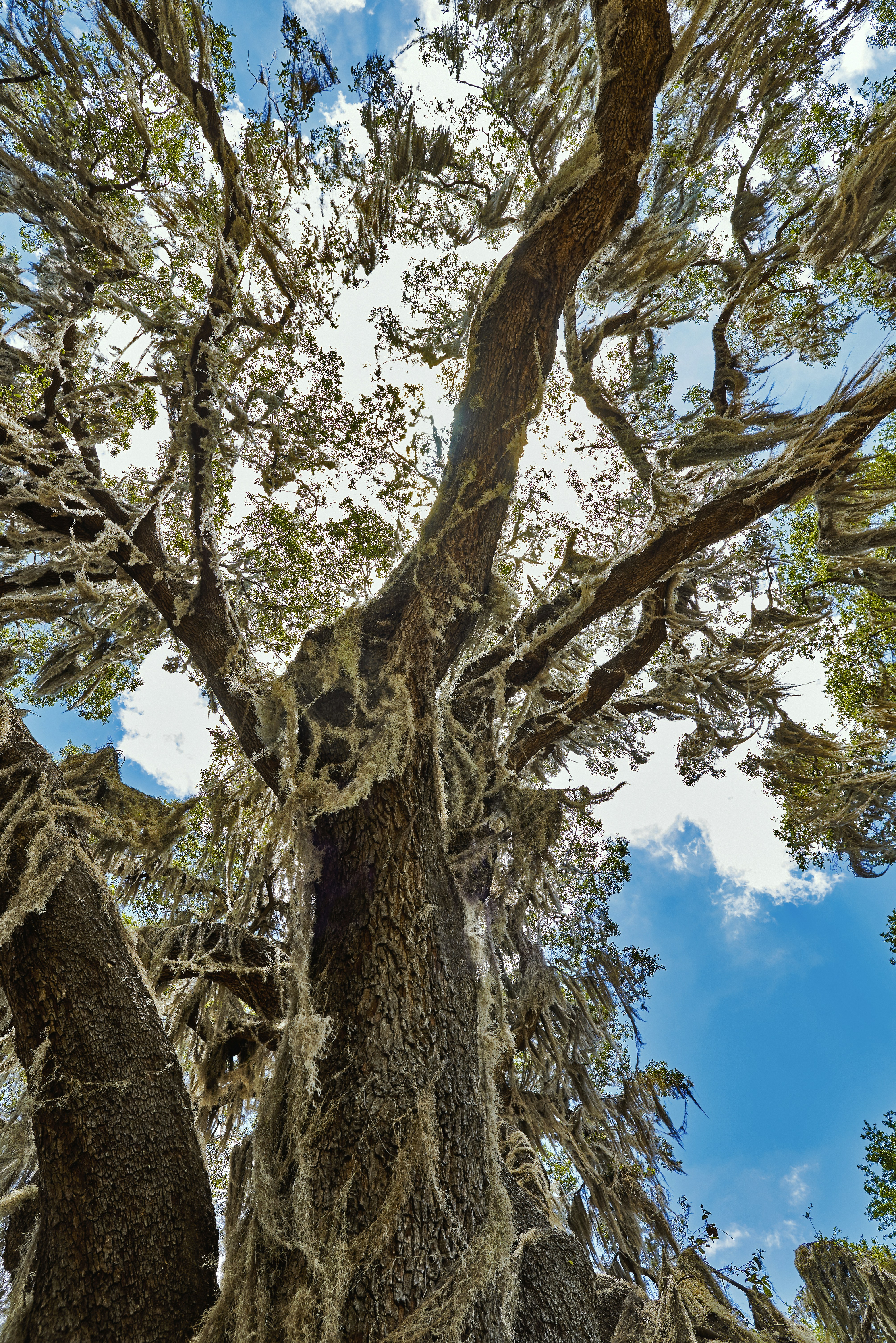 Photo by jiffystyler