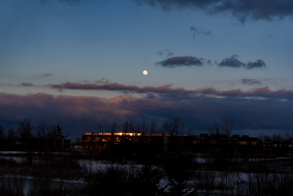 silhouette of trees and buildings during sunset