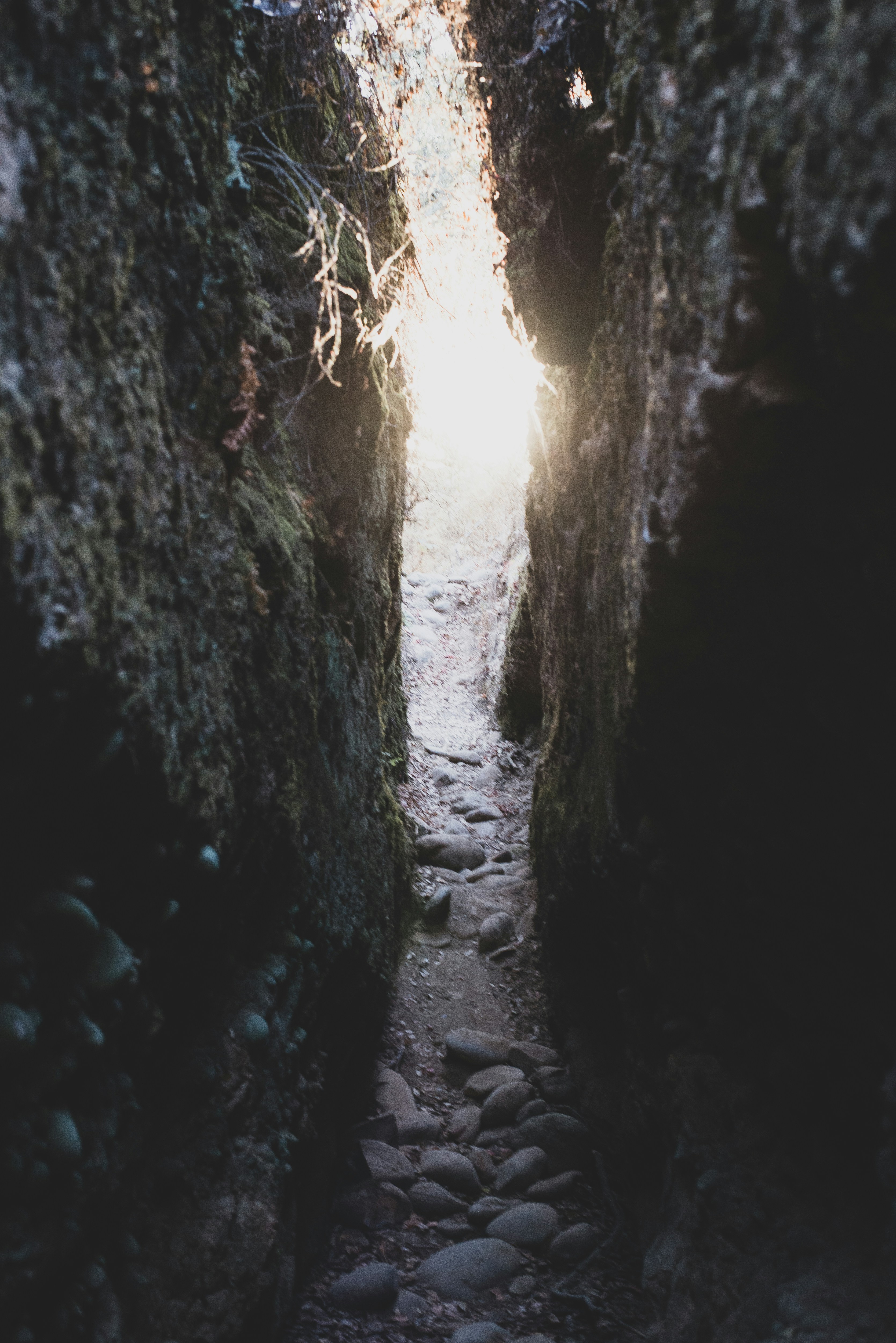 Photo by unraveledvisuals