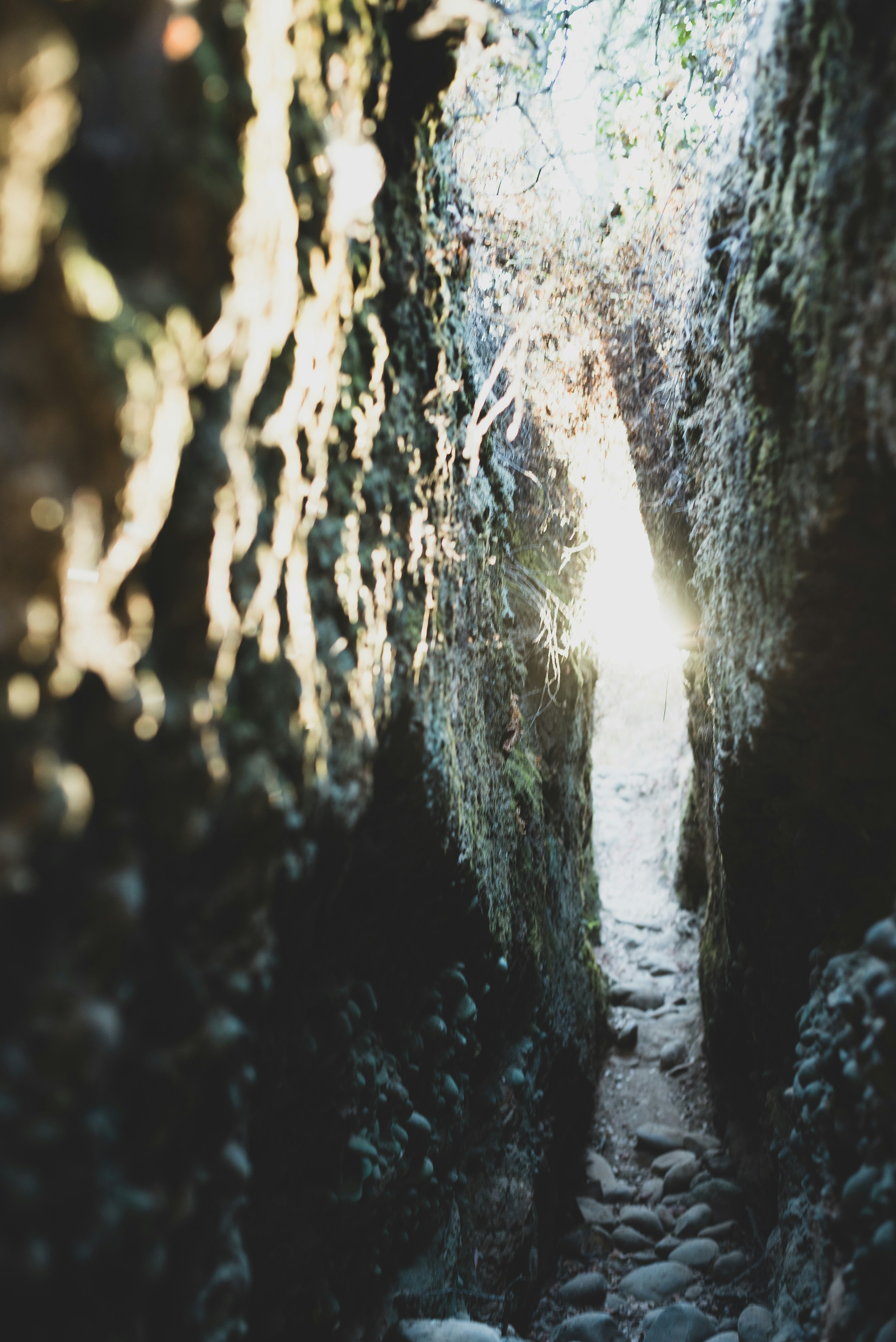 Photo by unraveledvisuals