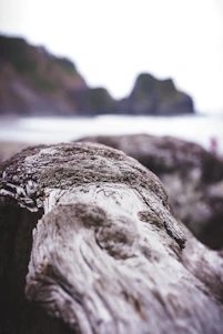 A close-up of a handcrafted keepsake resting on weathered driftwood with the Oregon coastline blurred in the background.