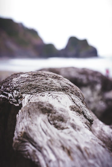 A close-up of a handcrafted keepsake resting on weathered driftwood with the Oregon coastline blurred in the background.