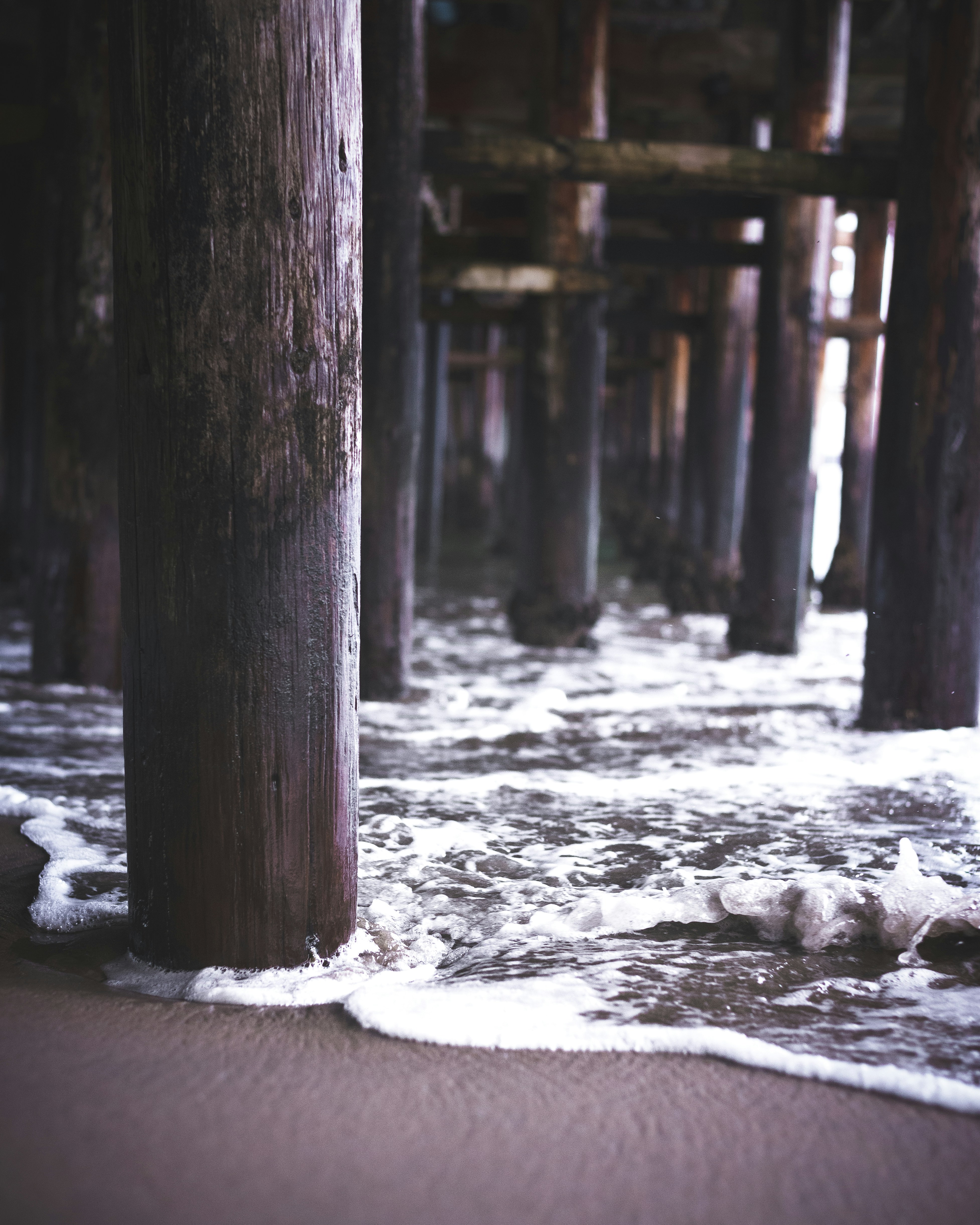 Photo by unraveledvisuals