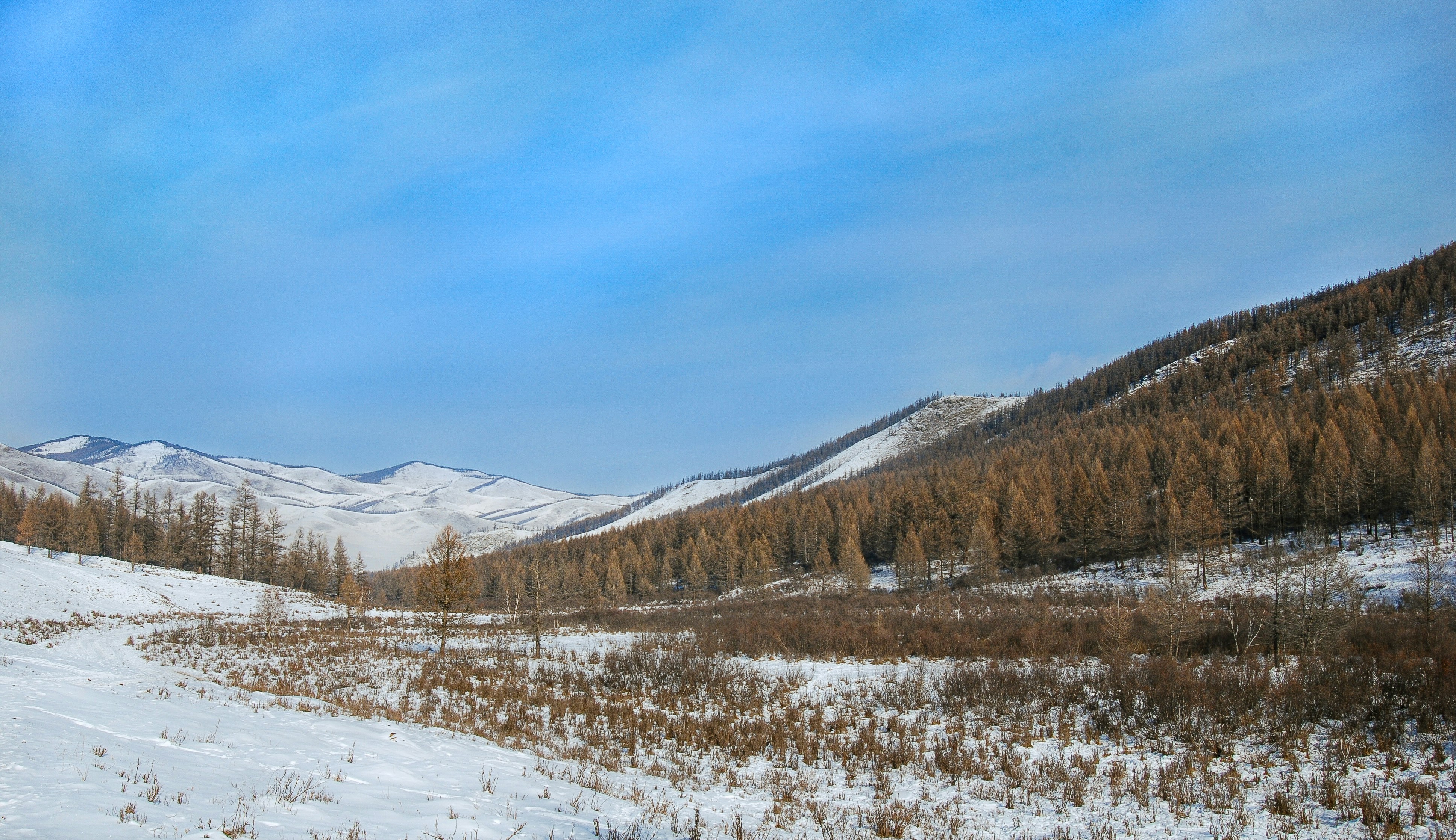 Photo by tengis_photography