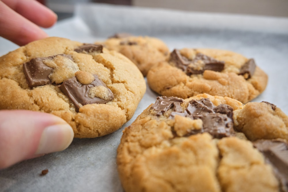 person holding brown cookies on white textile