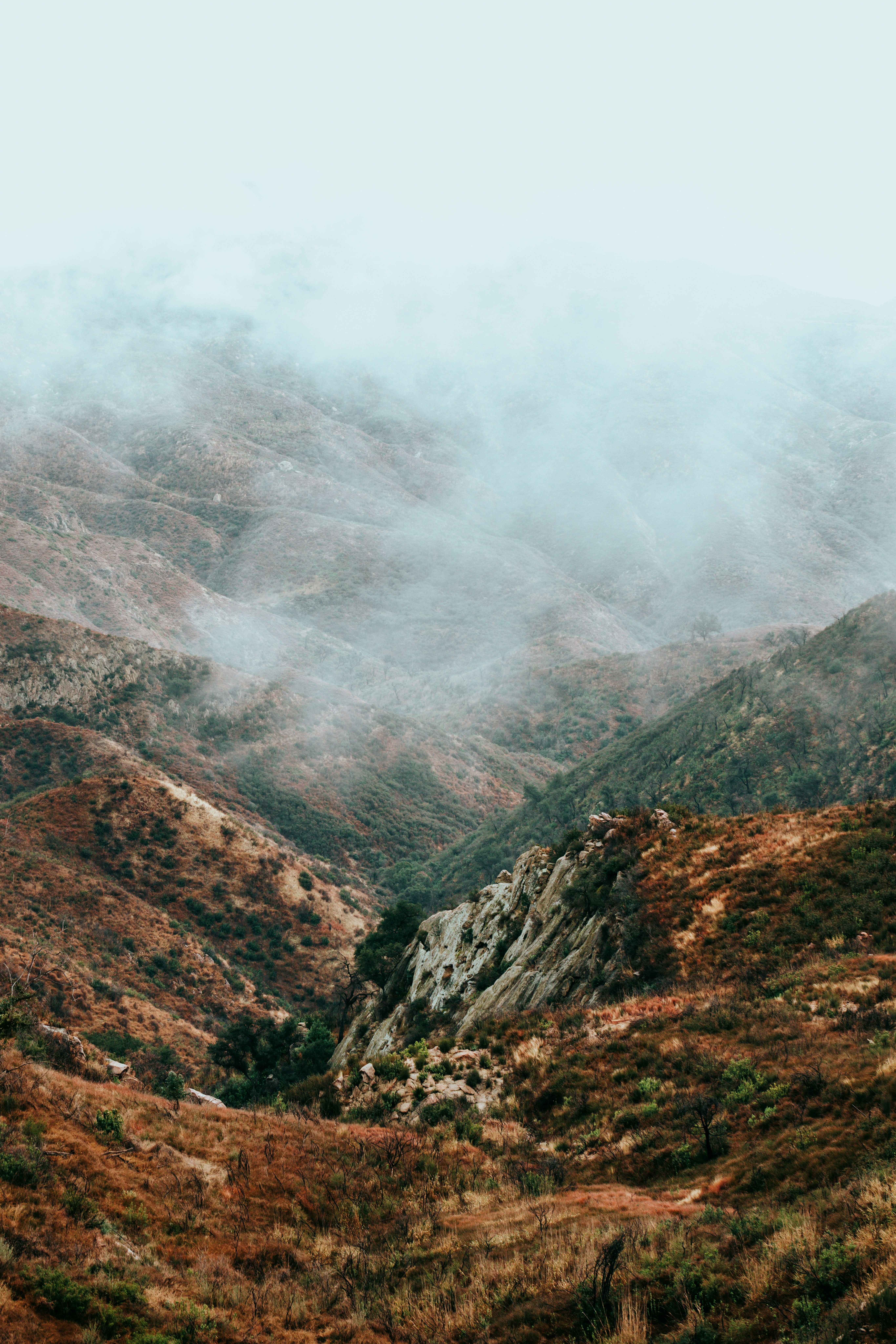 Photo by nate_dumlao