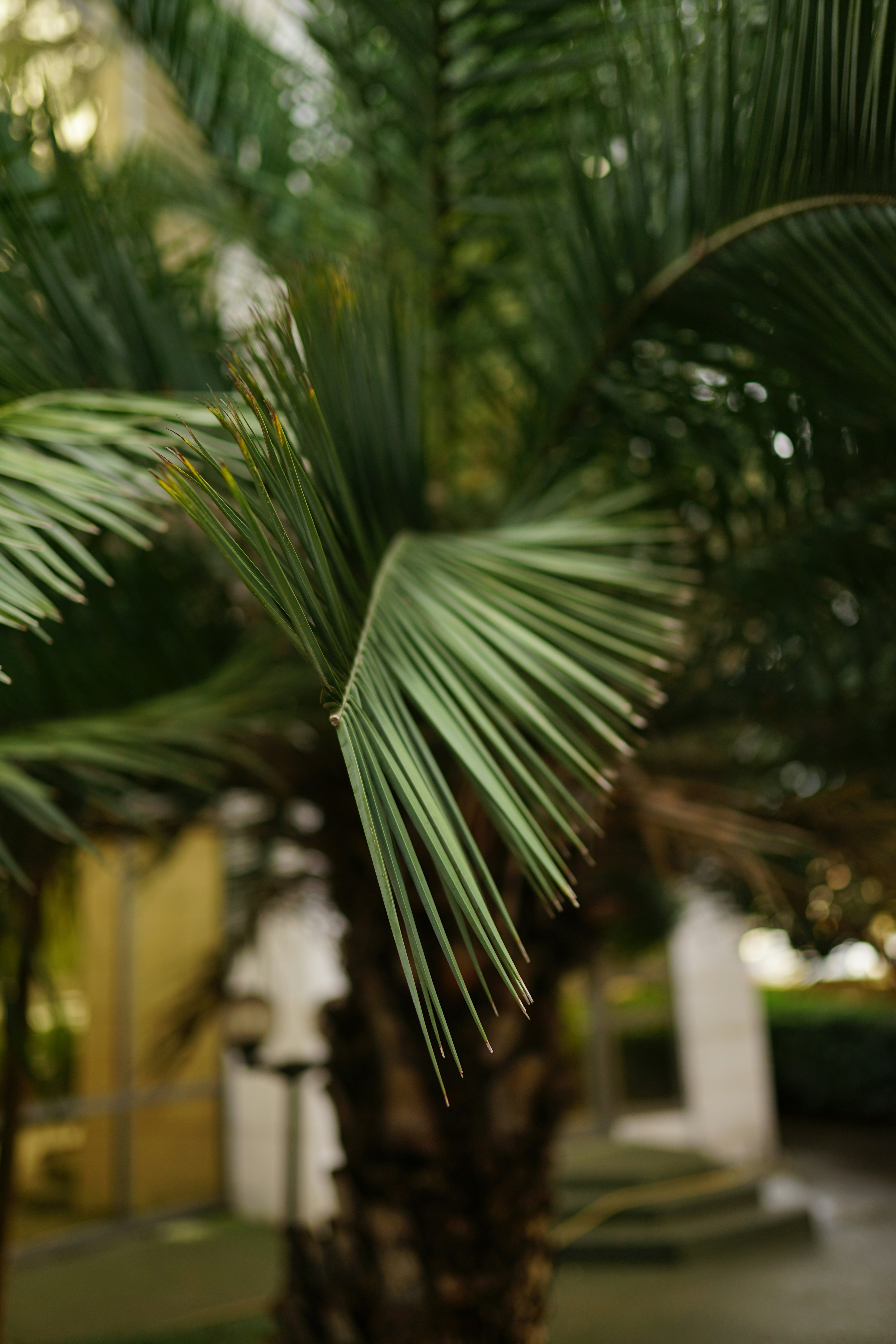 Photo by dudukalov_vl