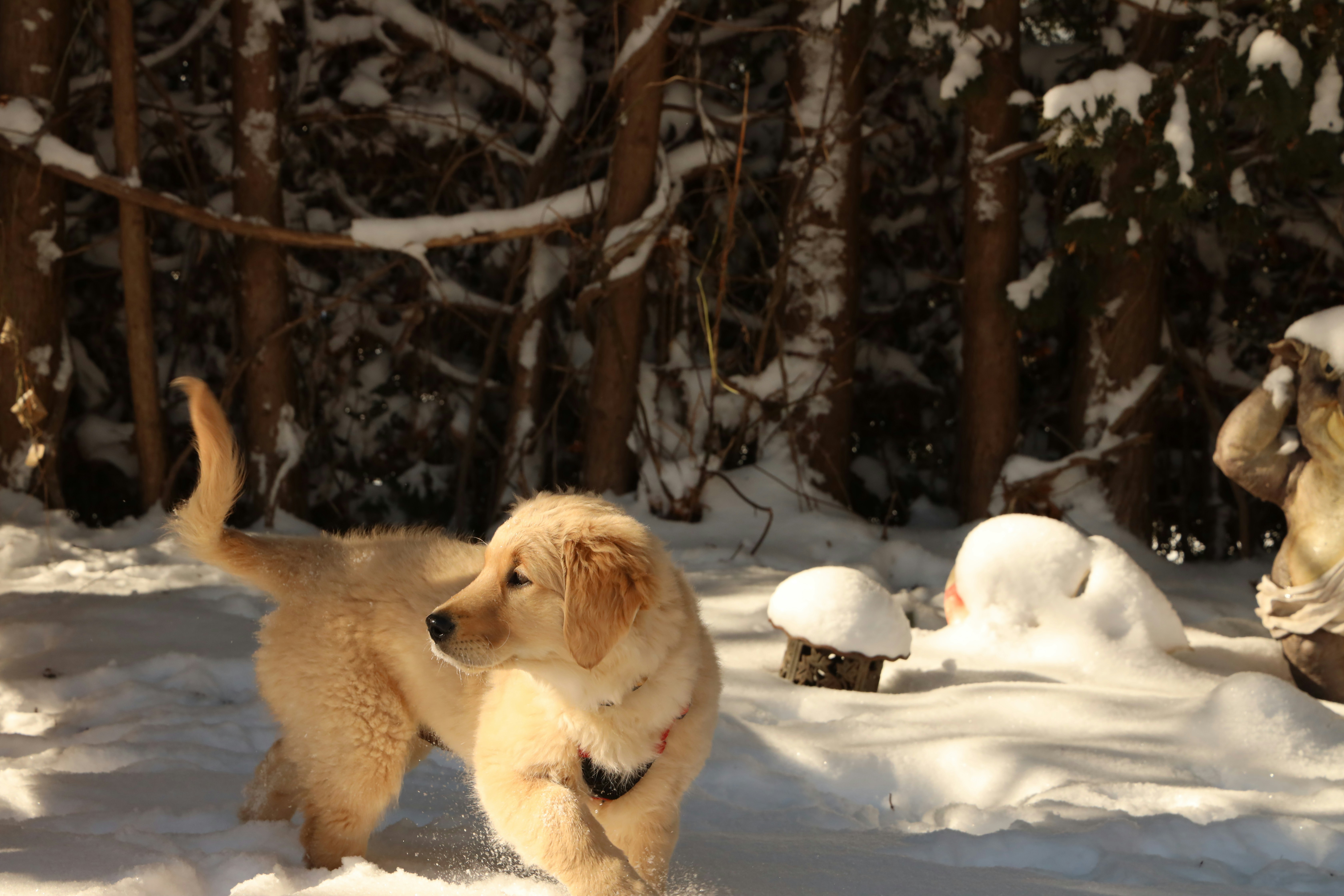 Photo by richardworks