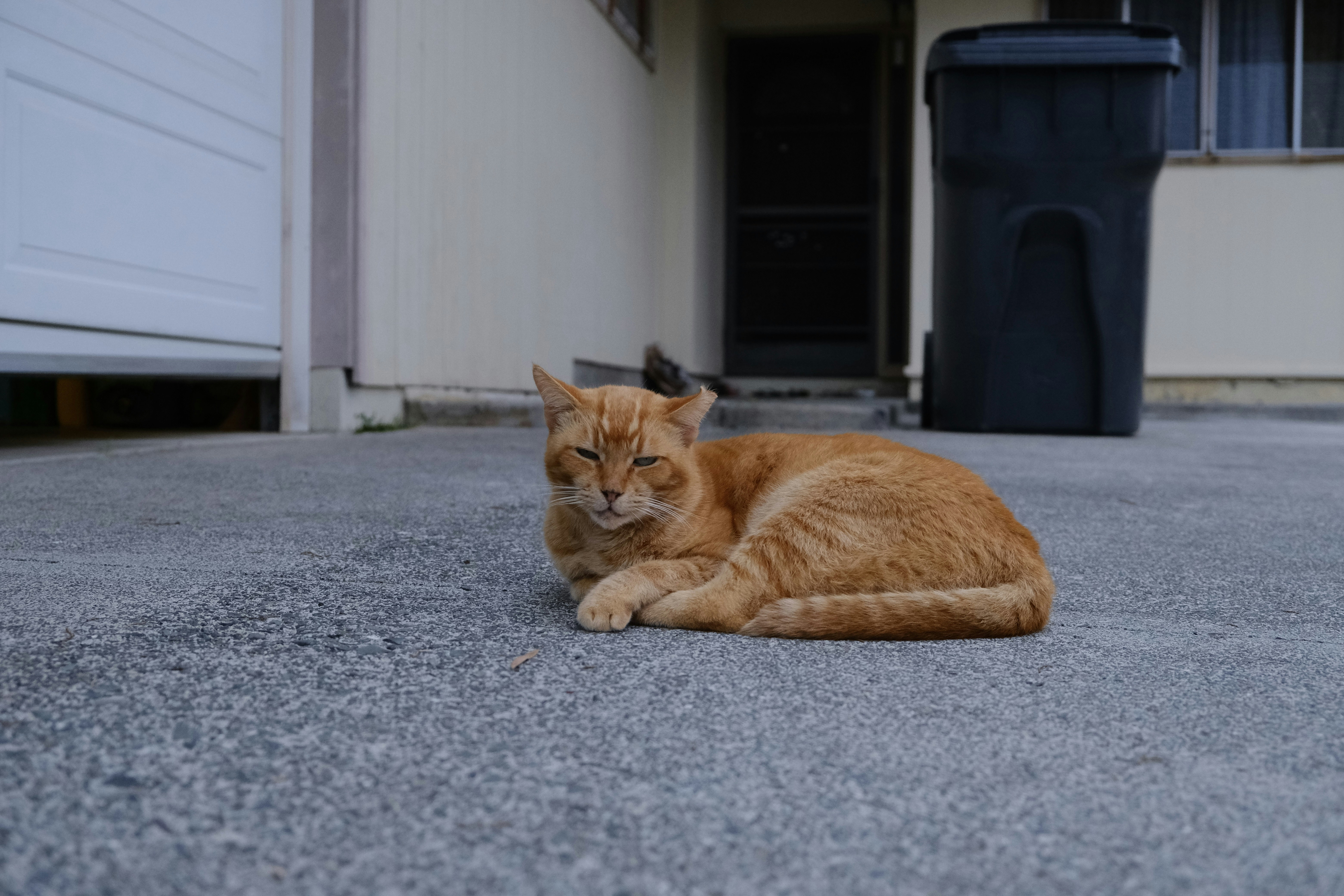 Photo by atoto_photo