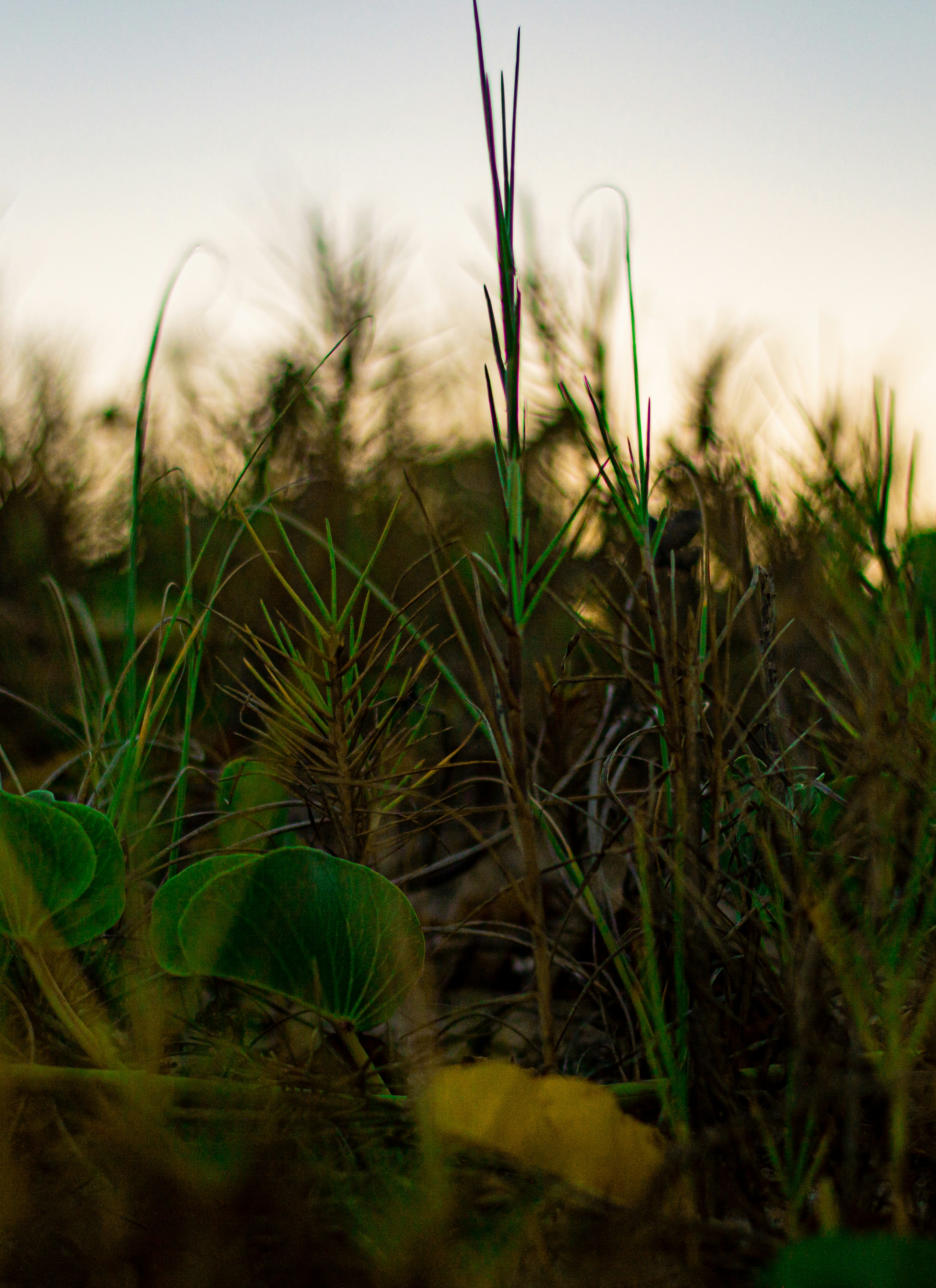 Photo by wagnersantosph