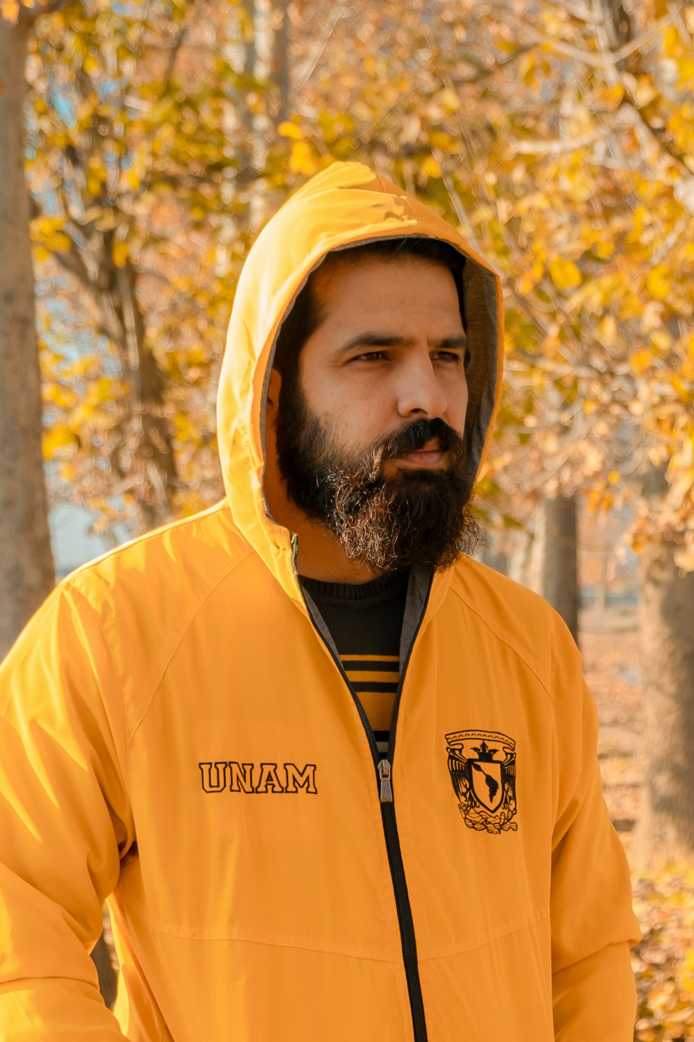 man in yellow hoodie standing near brown trees during daytime