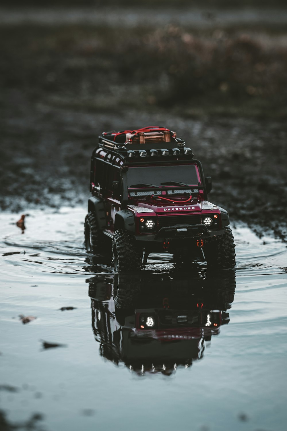 red and black jeep wrangler on water