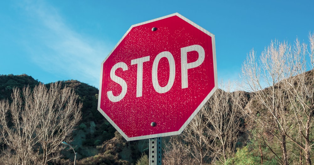 red and white stop sign