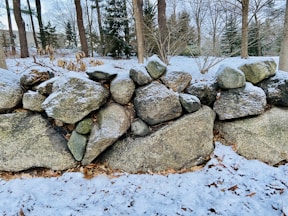 gray rocks on brown soil