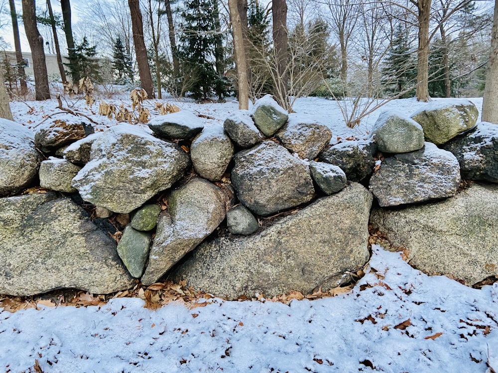 gray rocks on brown soil