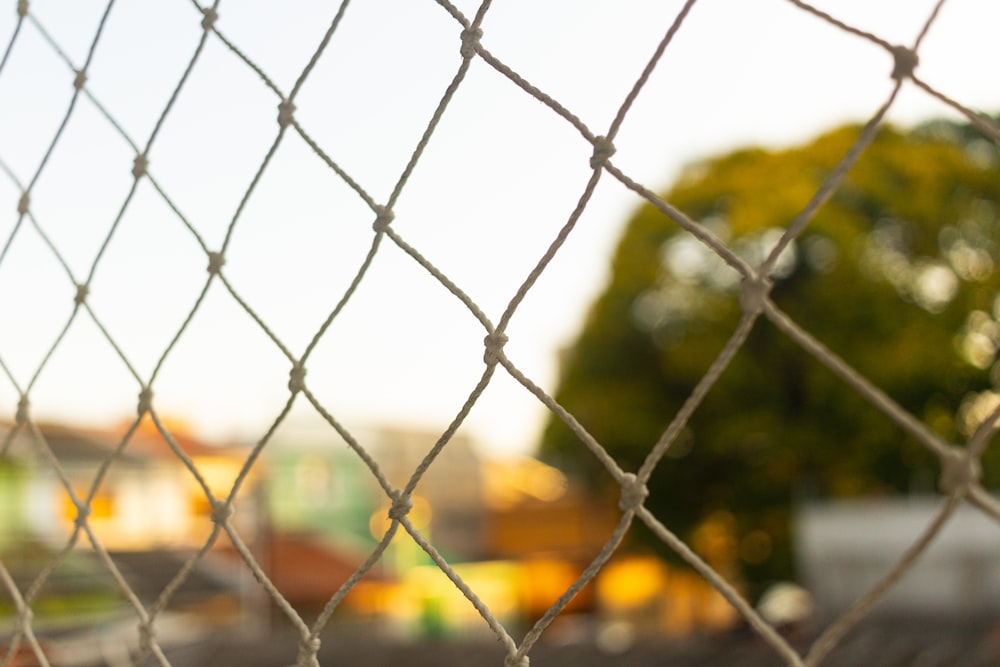 grey metal fence with yellow and green leaves