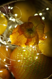 A detailed close-up view of a vibrant orange flower surrounded by small, glowing string lights. The background features yellow fruits and a green netted texture.