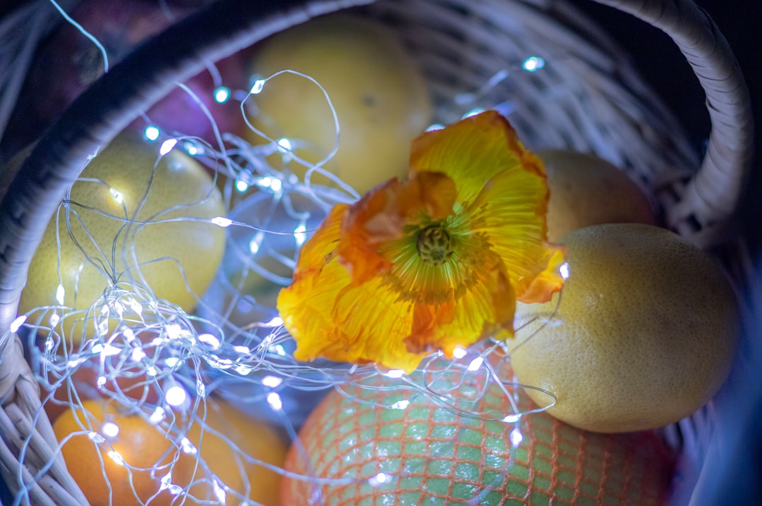 yellow flower on clear glass bowl