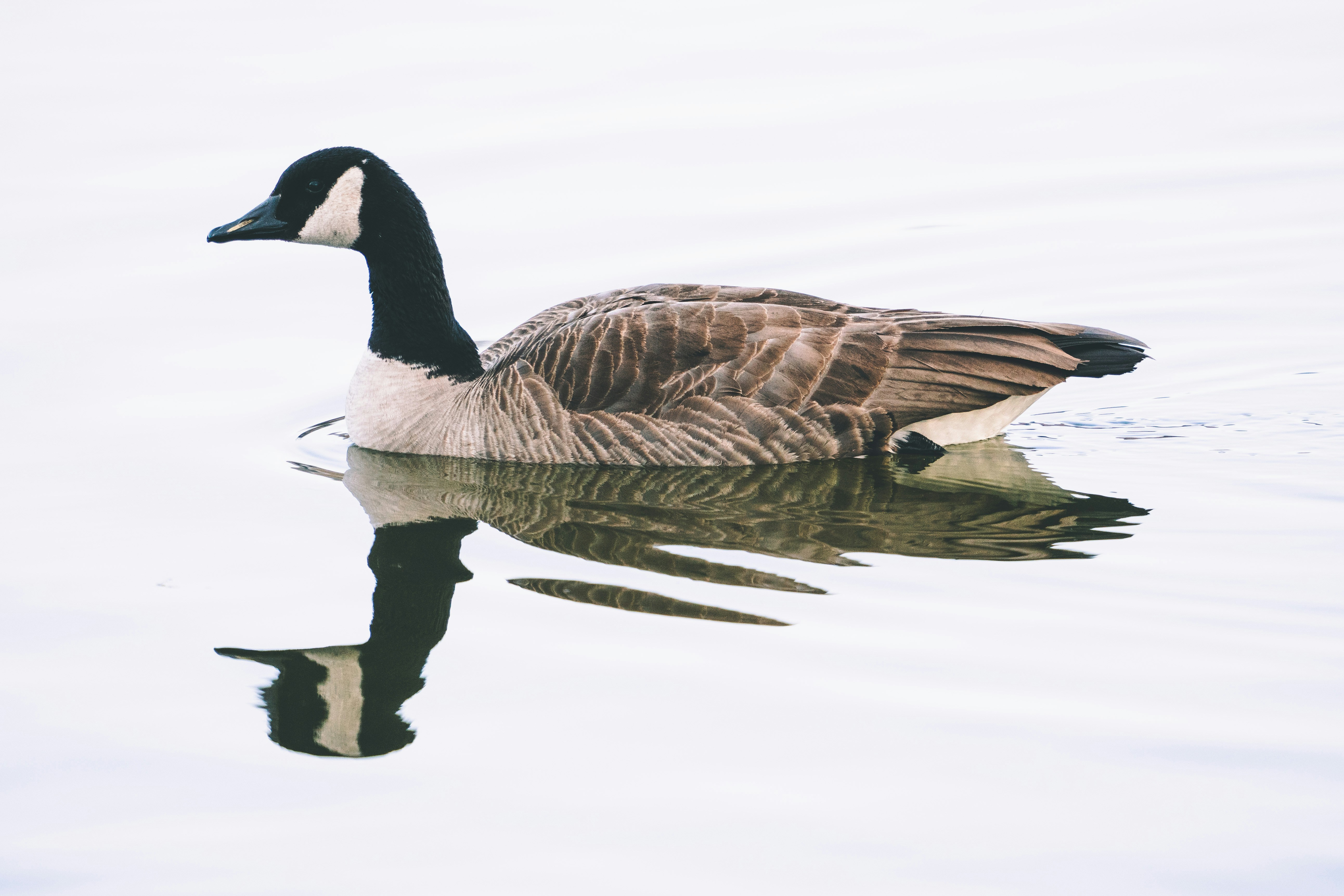 Photo by itworkonline