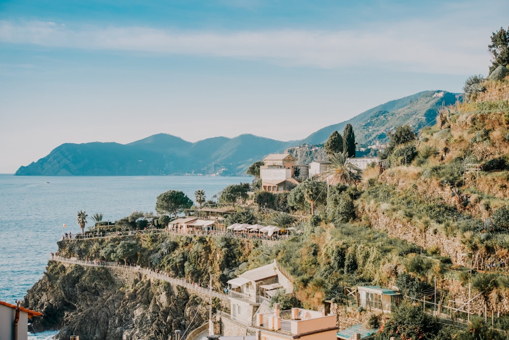 houses near body of water during daytime