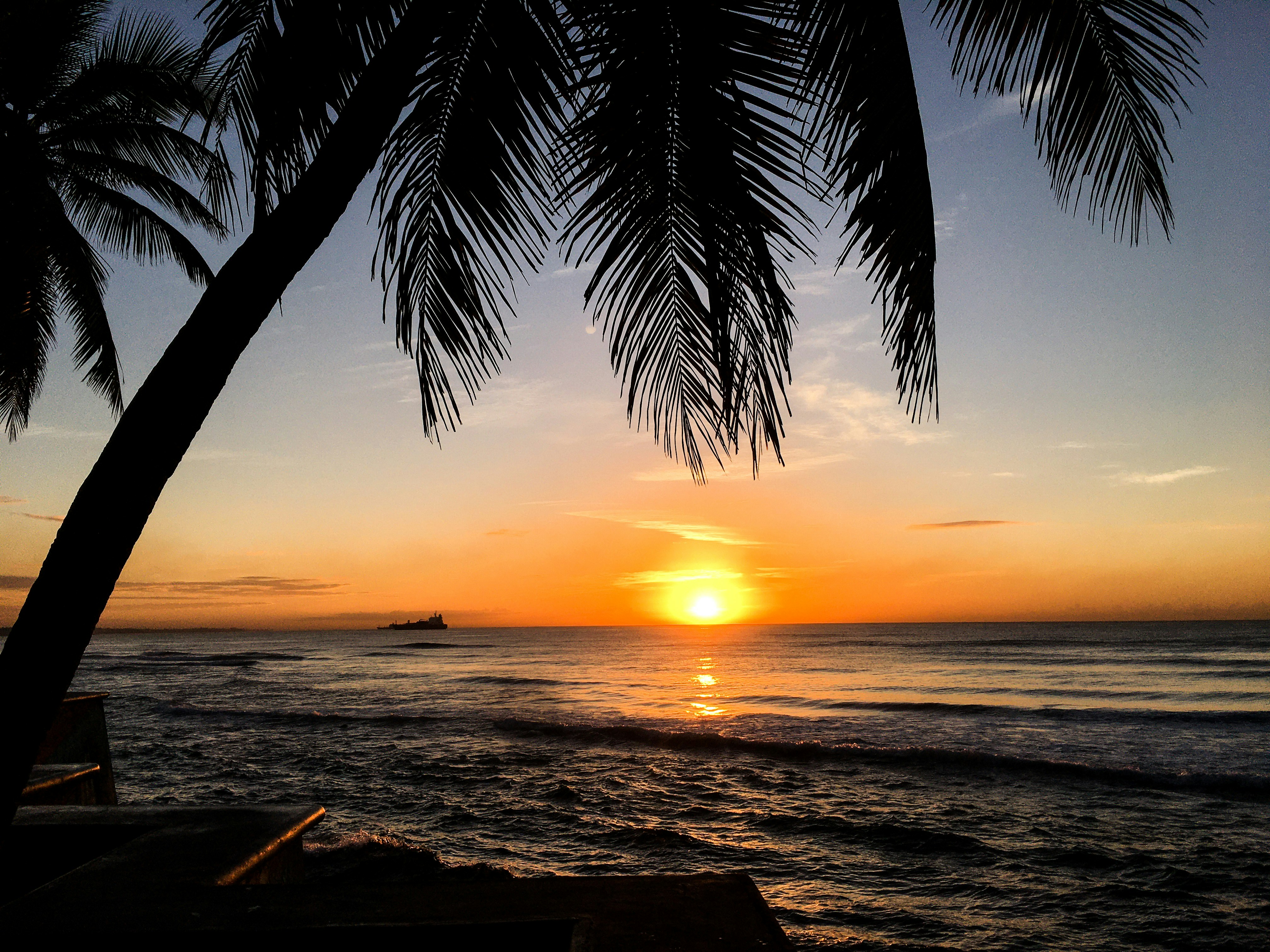 Photo by antovilardo