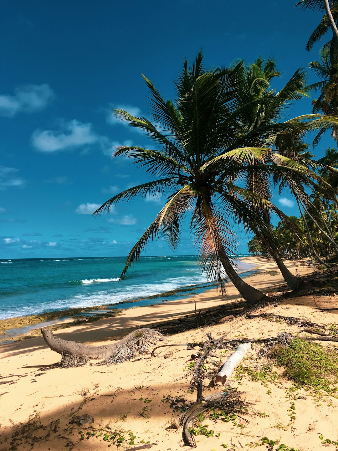 Beach photo spot Dominican Republic Santo Domingo