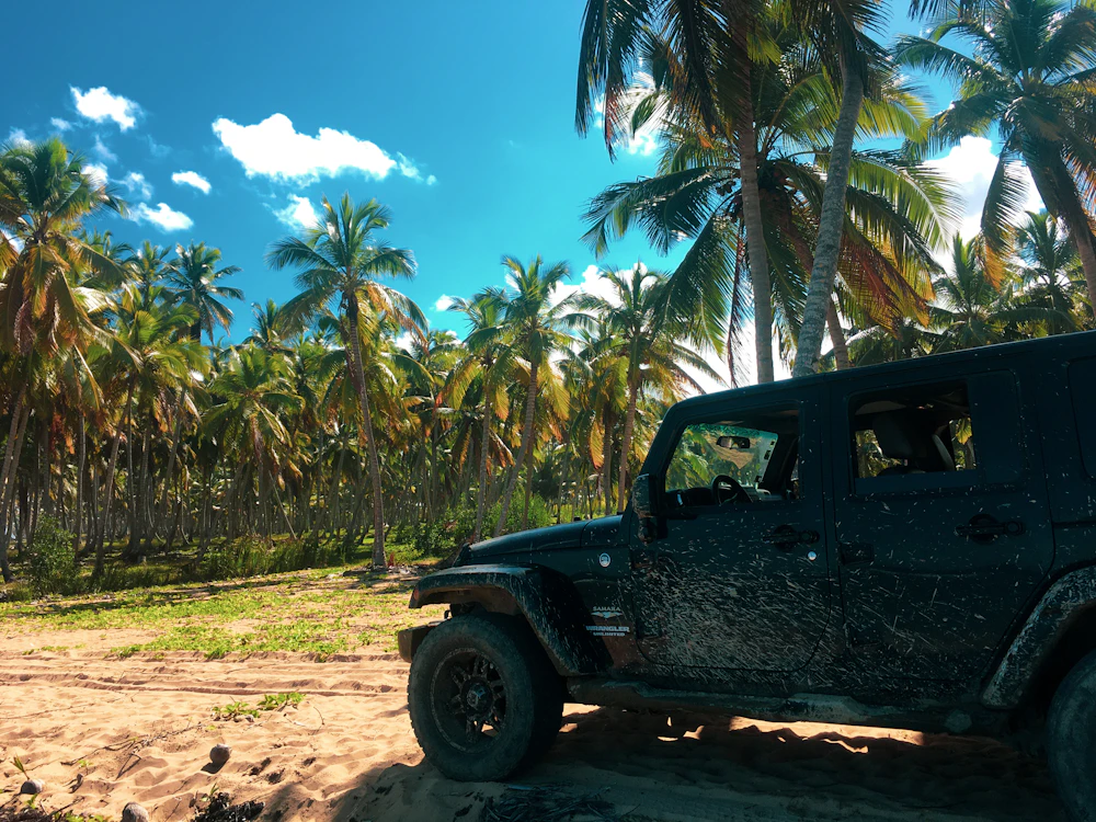 Jeep en un paisaje tropical con palmeras, fotografía ilustrativa