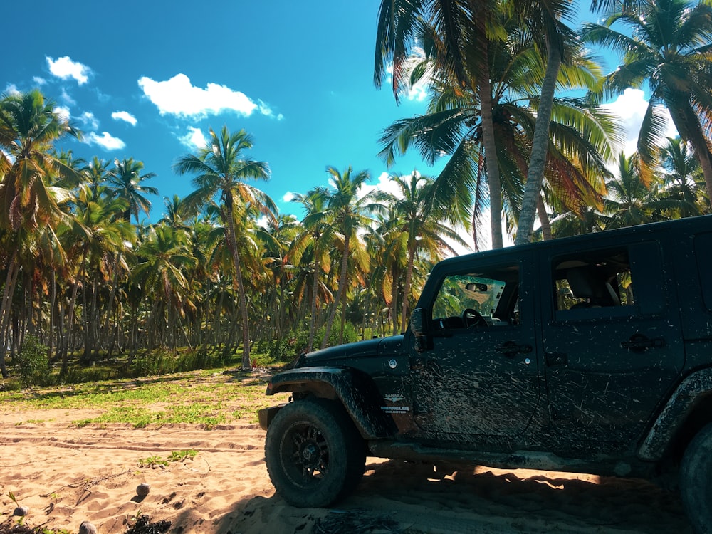 blue suv on brown sand near green palm trees during daytime