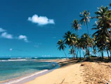 A white sandy beach lined with palm trees gently swaying under a bright blue sky.