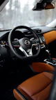 black and brown bmw steering wheel