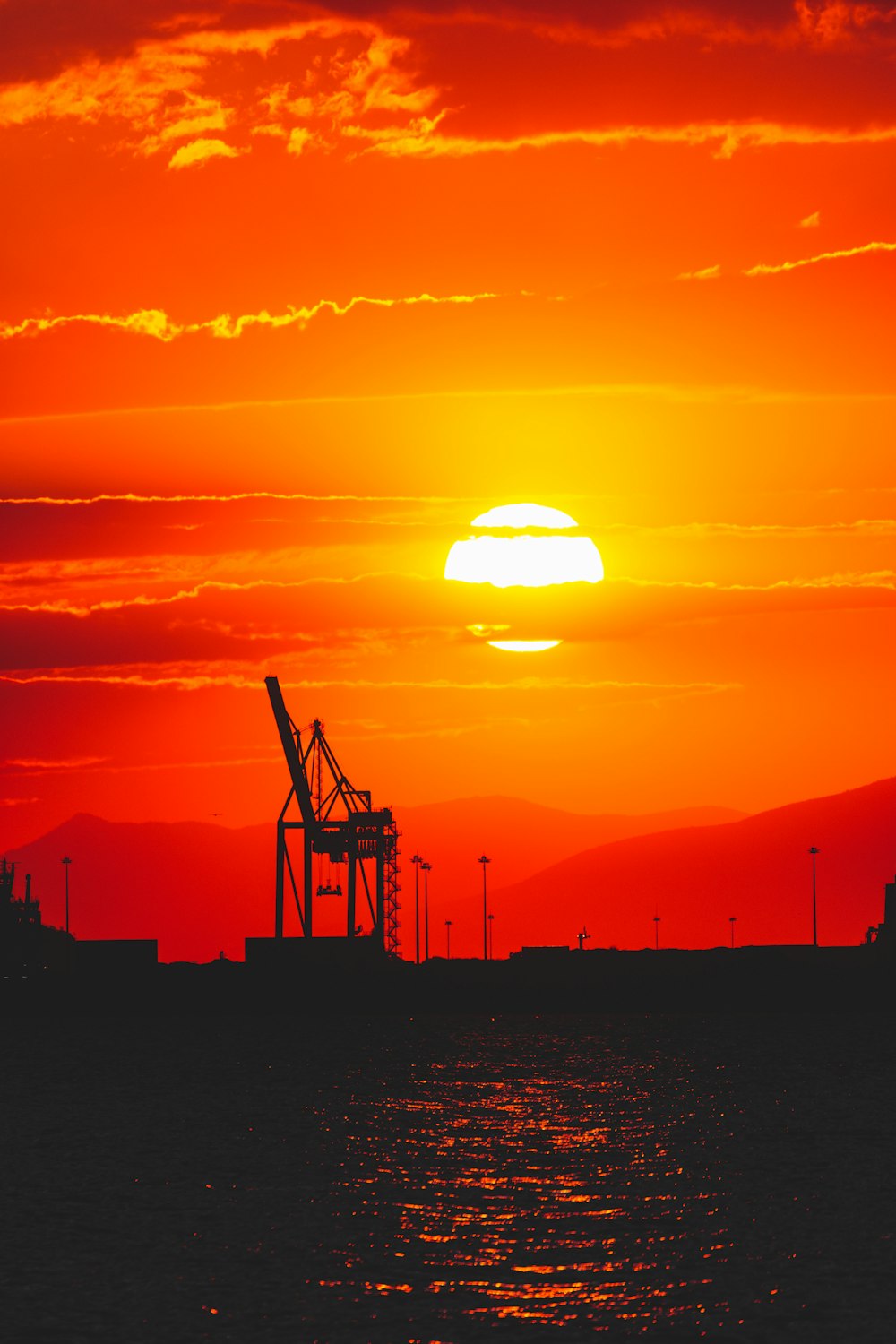 silhouette of crane during sunset