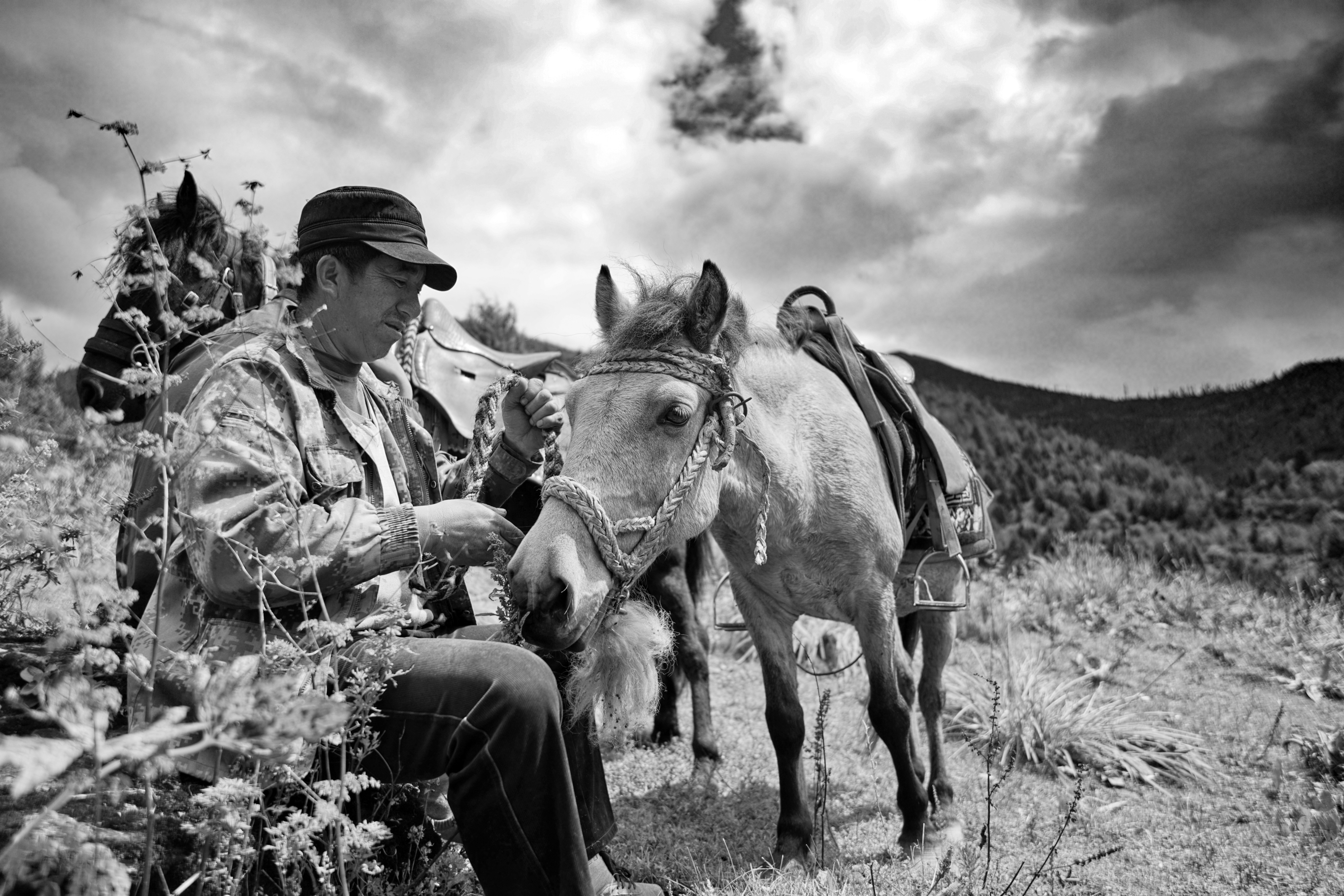 Graustufenfoto von Mann Reitpferd
