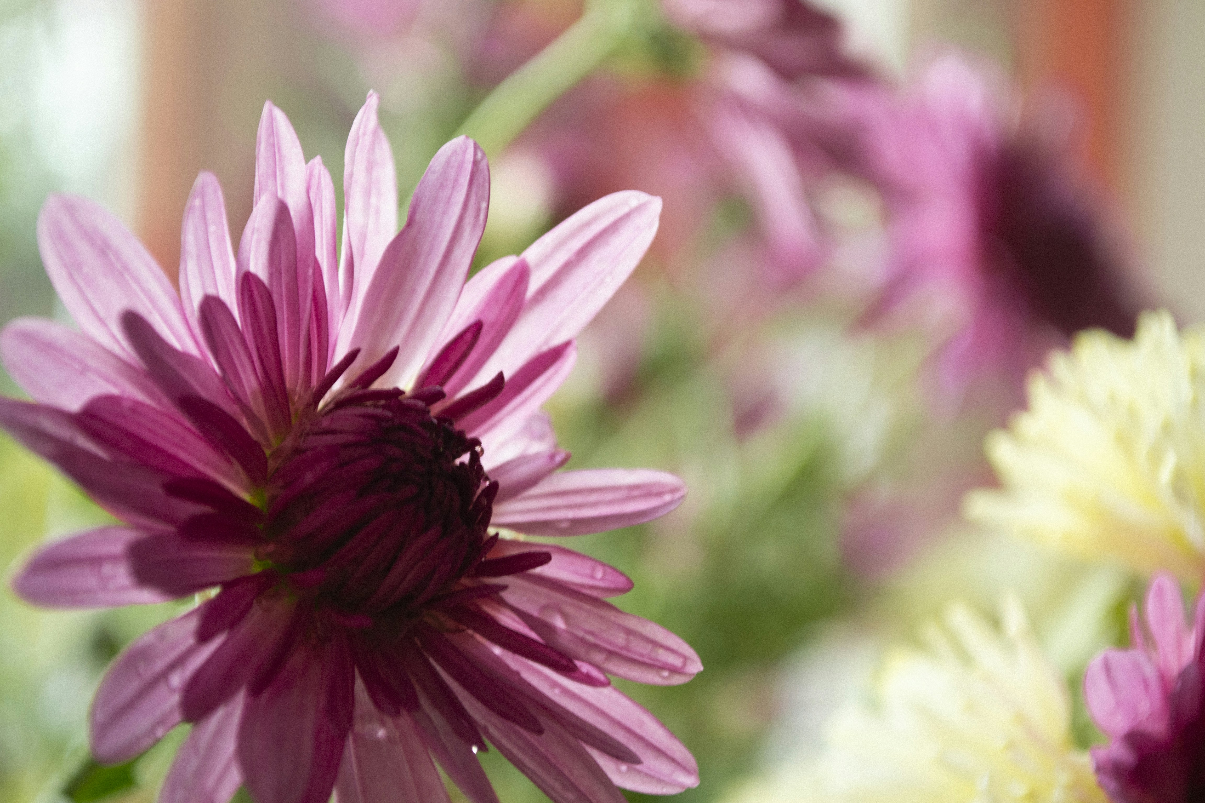 Photo by valeria_bobea