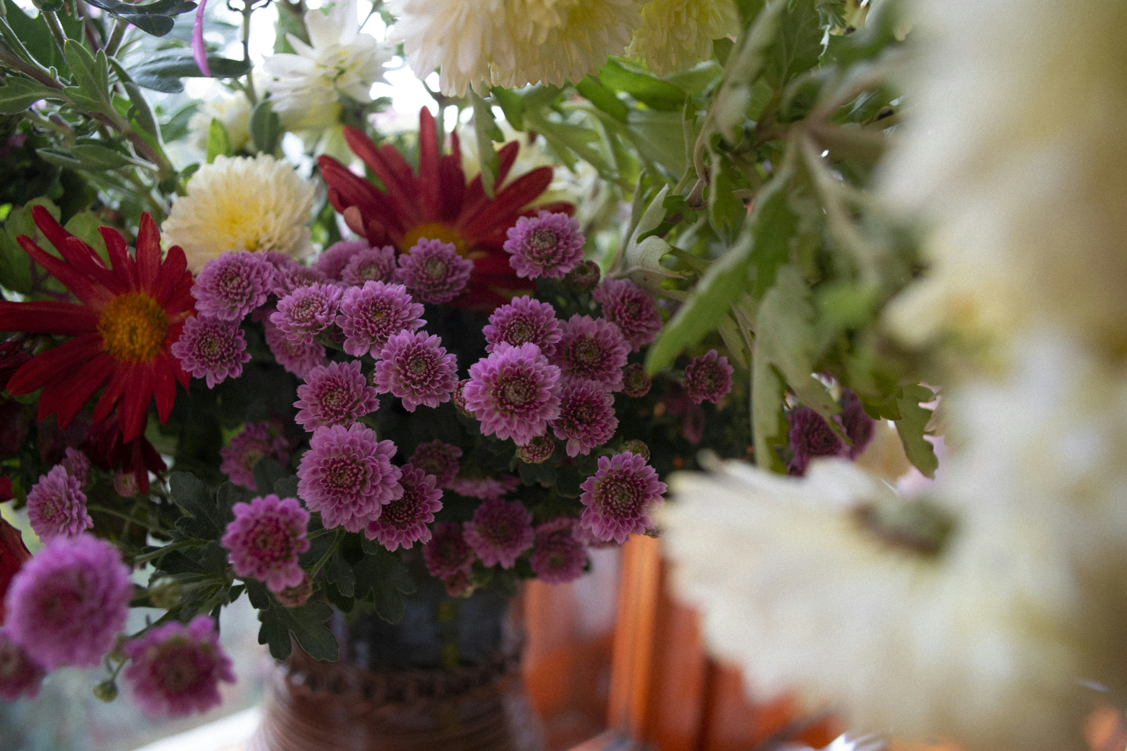 Photo by valeria_bobea