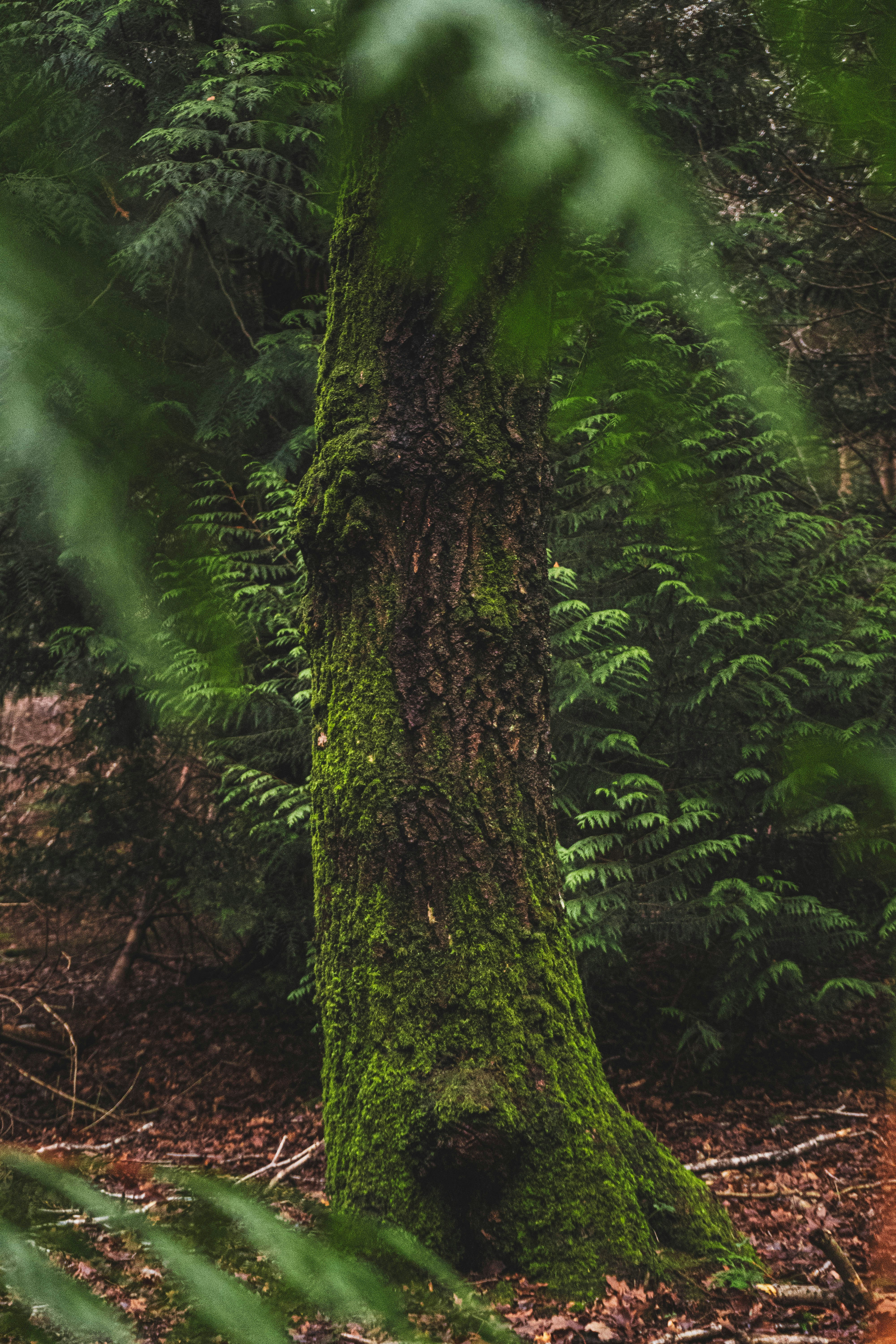 Photo by kylebushnell