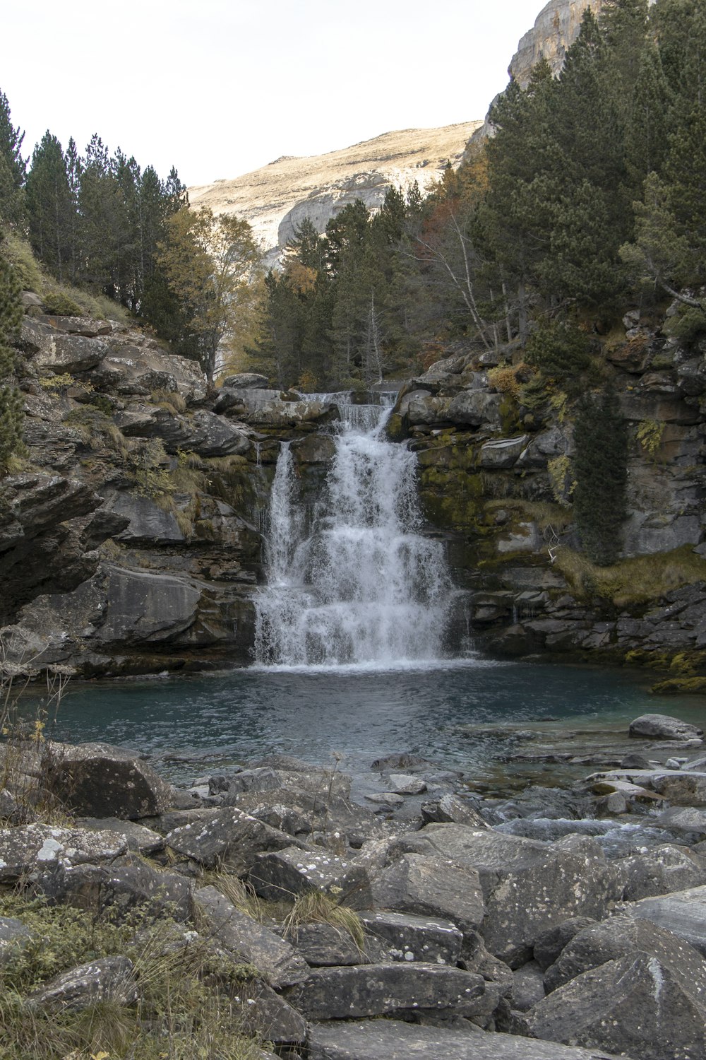 a waterfall in the middle of a forest