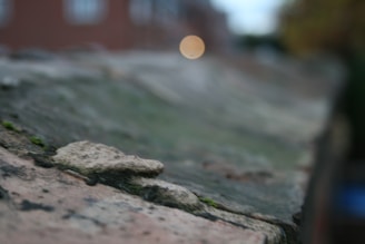 Close-up of textured paving stones laid in a modern urban plaza under soft evening light.