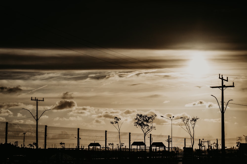 silhouette of trees under cloudy sky during daytime