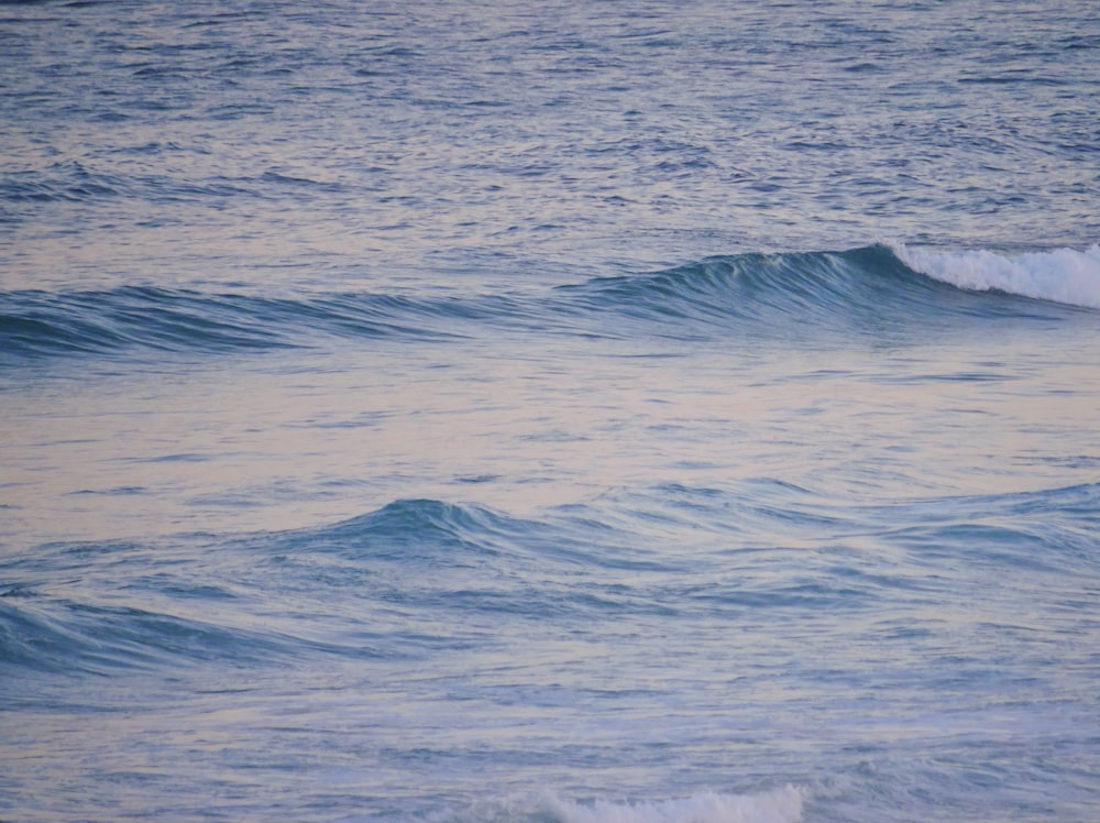 昼間の青い海水