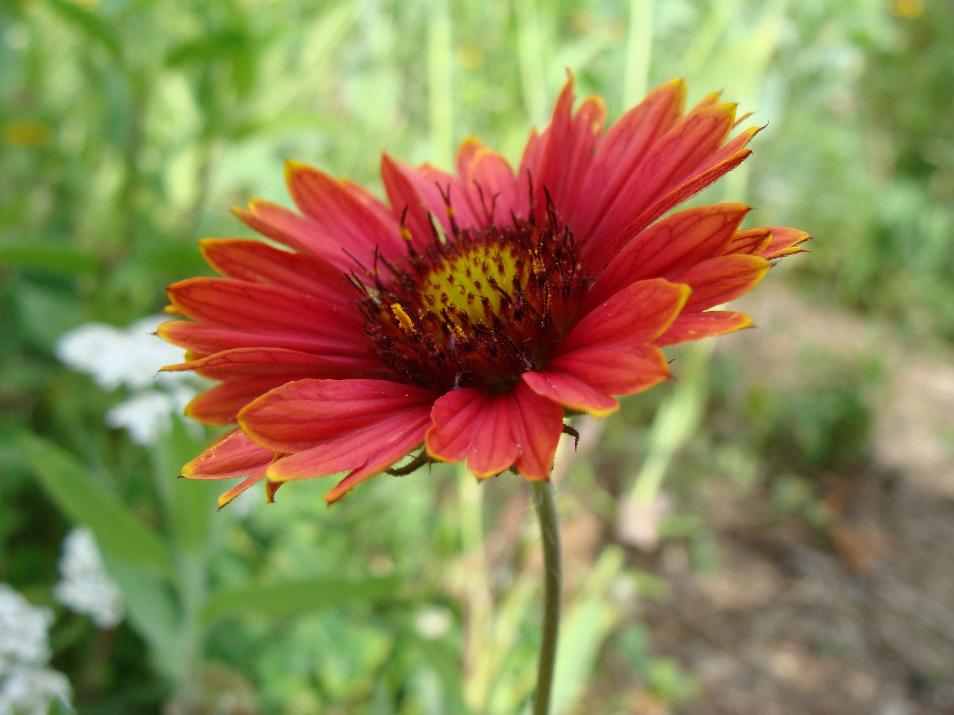 Photo by philipdbrown