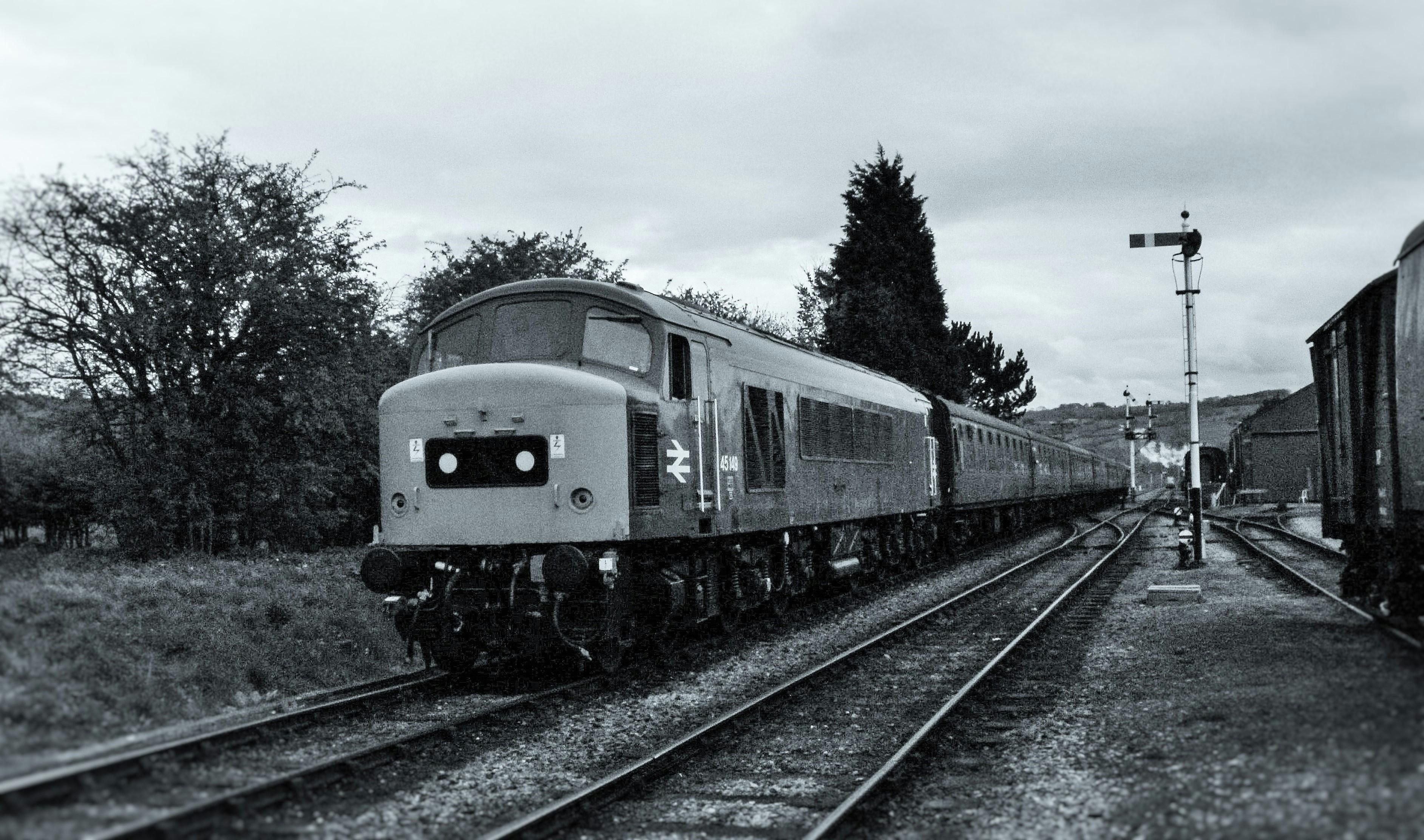 gray and black train on rail tracks