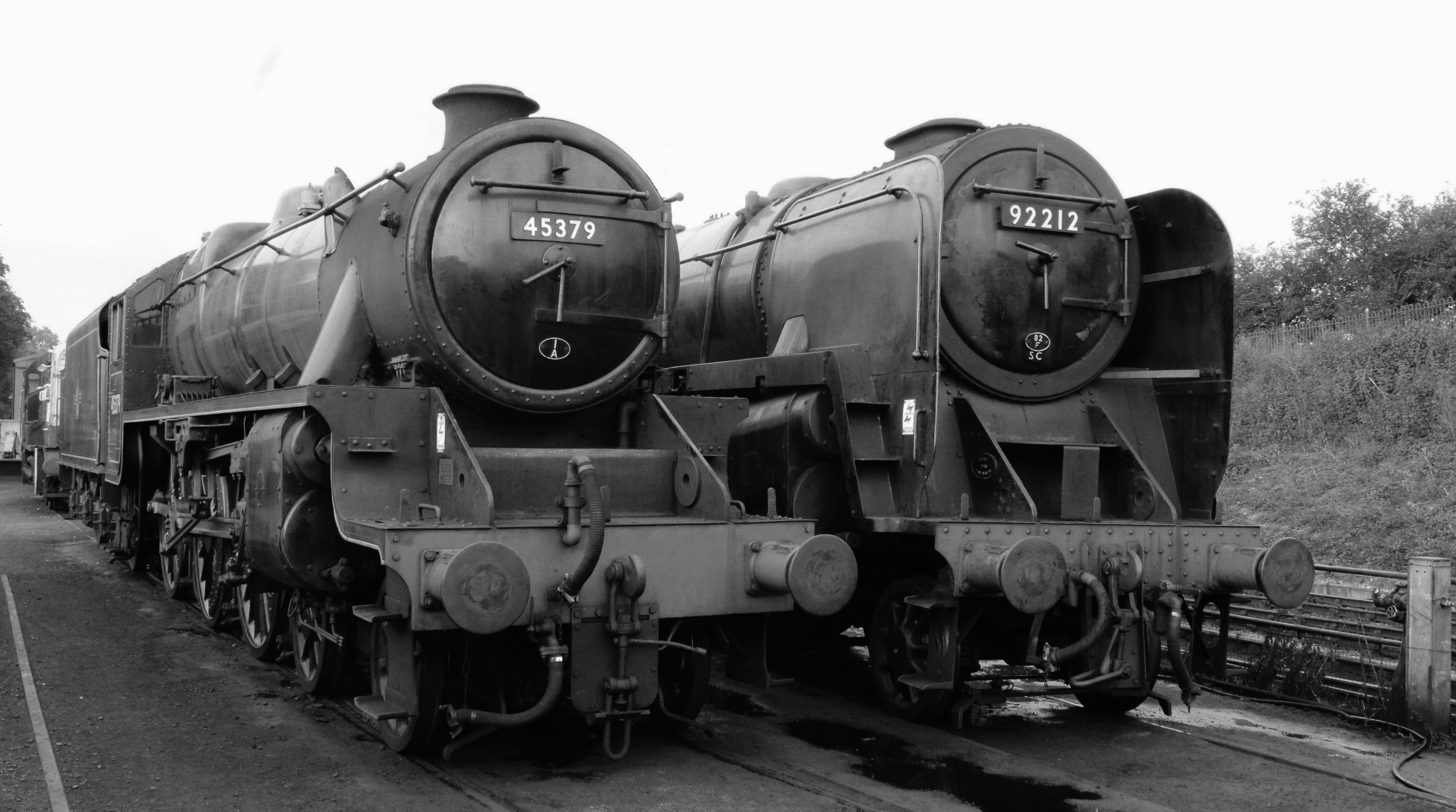 Photo by garydoughty