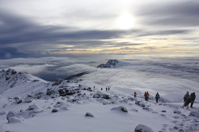 7-Day Machame Route plus safari combo