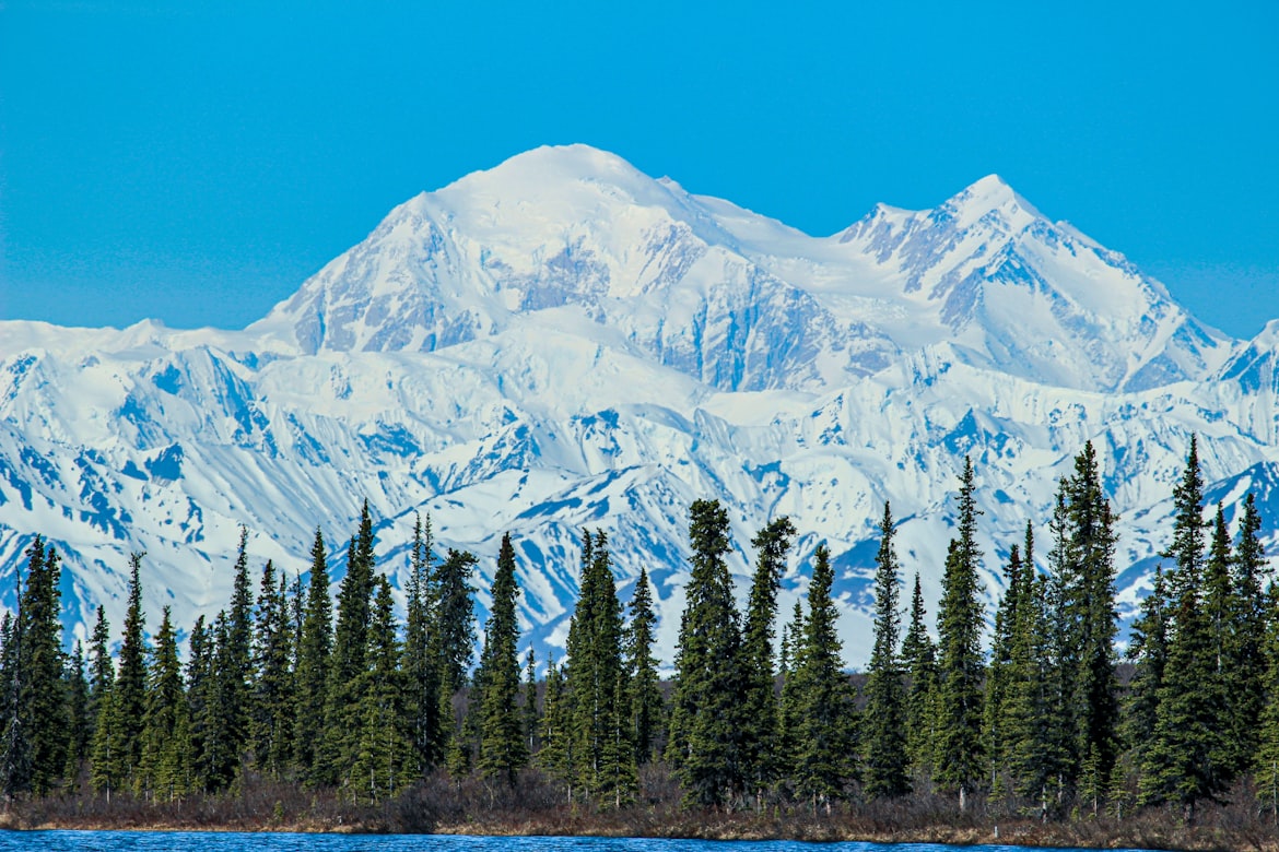 La bellezza incontaminata del Denali National Park in Alaska