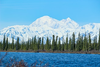 green pine trees near snow covered mountain during daytime