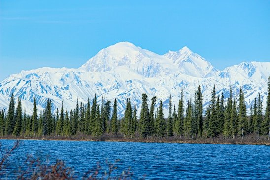 green pine trees near snow covered mountain during daytime