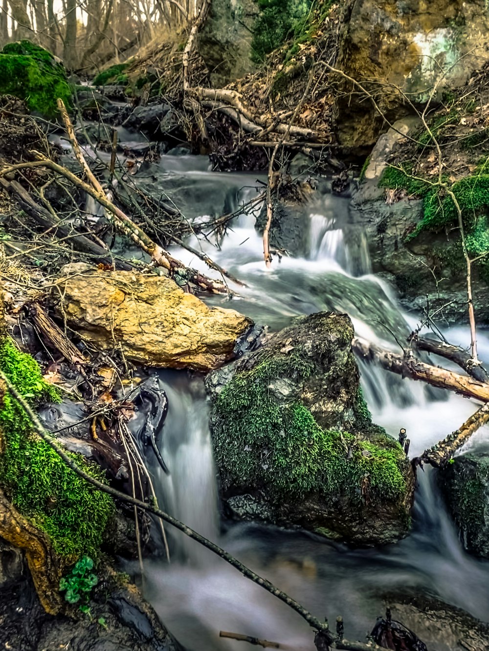 green moss on brown rock near river