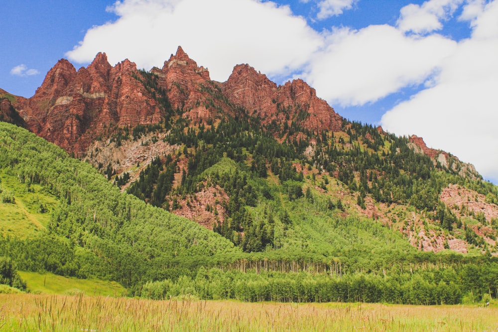 green grass field near brown mountain under blue sky during daytime