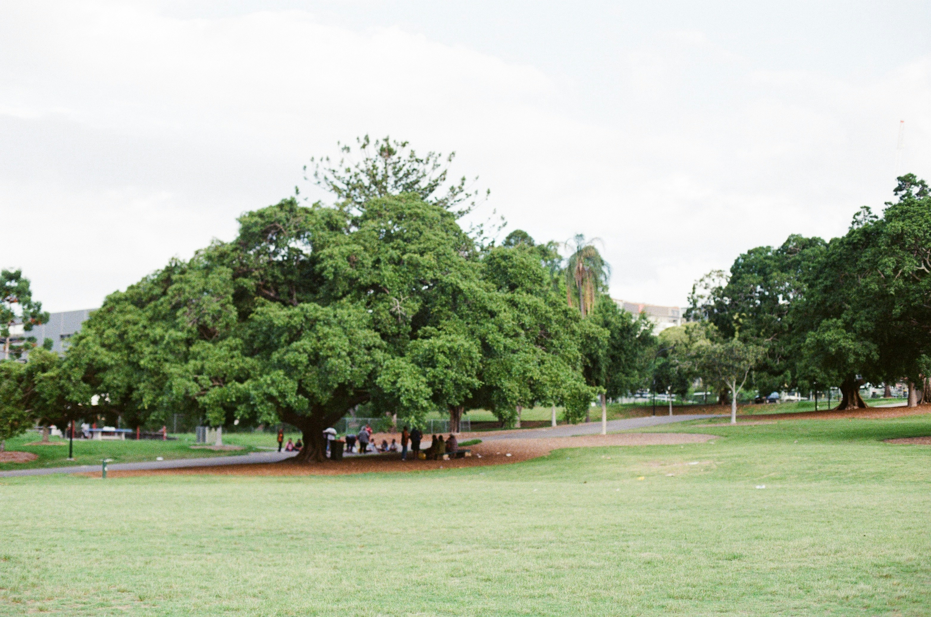 Photo by jasper_bennett